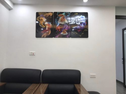 324144474 533831608695590 6379027520239584378 n