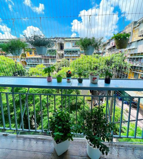 Cần Bán Nhà Tập Thể Vĩnh Phúc Ba Đình 329581414 910834470255714 3748837905133322777 n