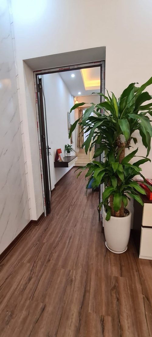 Tập Thể Trần Hưng Đạo Giá Chỉ Hơn 1 Tỷ 330364602 2474371459404923 1773225330519593956 n