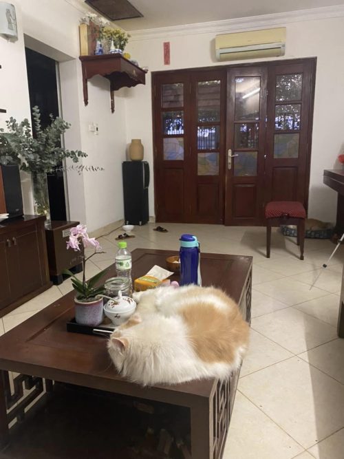 Cần Bán Tập Thể Thành Công Tầng 1 - nhà đẹp chủ trí cán bộ công chức 333975712 1444343059707650 2472996792303253406 n