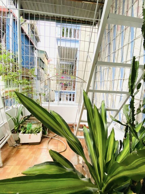 Bán Nhà 5 tầng Nguyễn An Ninh Chủ Thiện Chí 337567475 722111182970370 4219605882709706902 n