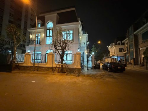 Bán Biệt Thự Đơn Lập 3 Mặt Tiền - Mễ Trì, Nam Từ Liêm 6 10