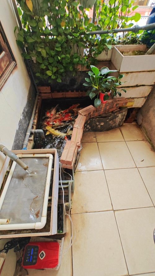 Bán Nhà Tập Thể -Thổ Cư giá rẻ Mai Động Hoàng Mai 85f 20B92679 m7r5tl9c 43 16